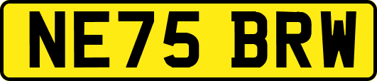 NE75BRW
