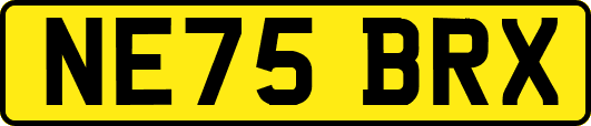 NE75BRX