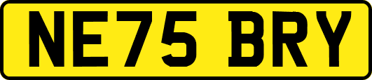 NE75BRY