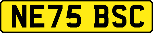 NE75BSC