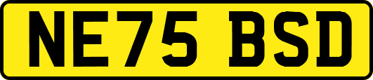 NE75BSD