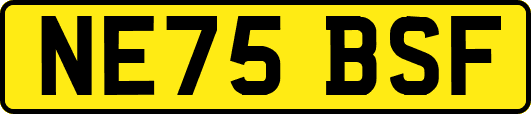 NE75BSF