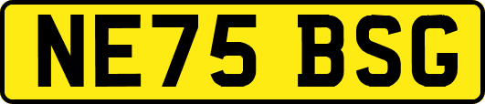 NE75BSG