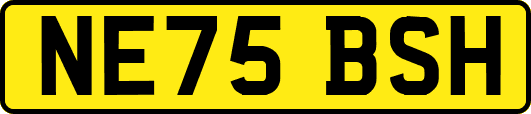 NE75BSH