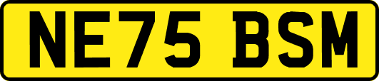 NE75BSM