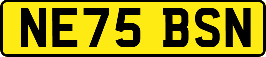 NE75BSN