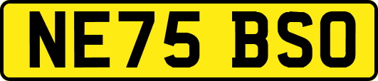NE75BSO