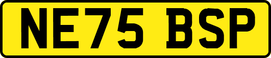 NE75BSP
