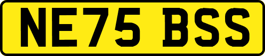 NE75BSS