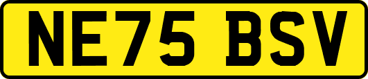 NE75BSV