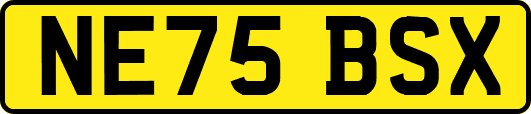 NE75BSX