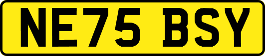 NE75BSY