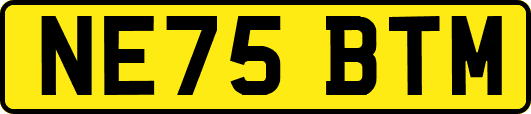 NE75BTM