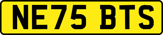 NE75BTS