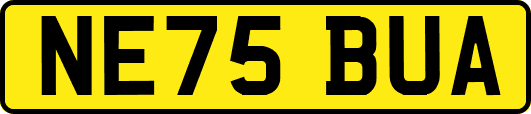 NE75BUA