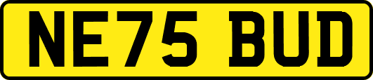 NE75BUD