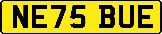 NE75BUE