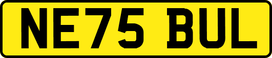 NE75BUL