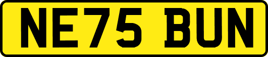 NE75BUN