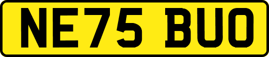 NE75BUO