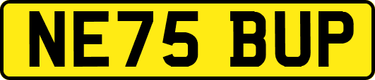 NE75BUP