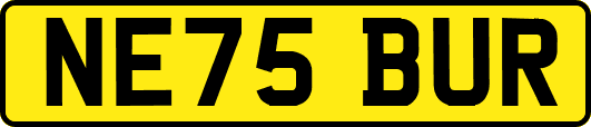 NE75BUR