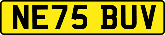 NE75BUV