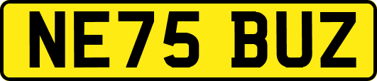 NE75BUZ