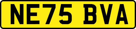 NE75BVA