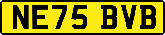 NE75BVB