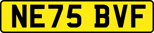 NE75BVF