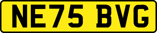 NE75BVG
