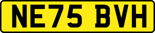NE75BVH