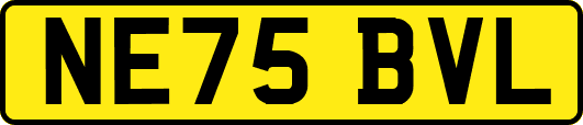 NE75BVL