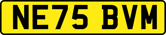 NE75BVM