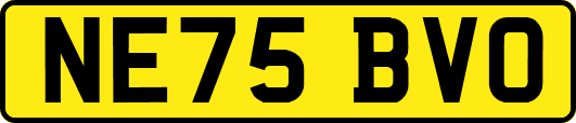 NE75BVO