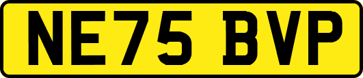 NE75BVP