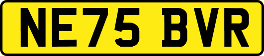 NE75BVR