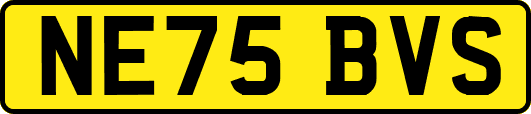 NE75BVS