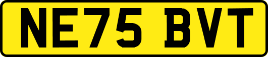 NE75BVT
