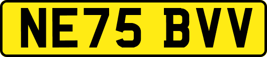 NE75BVV