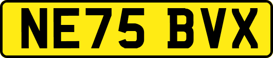 NE75BVX