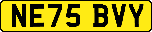 NE75BVY
