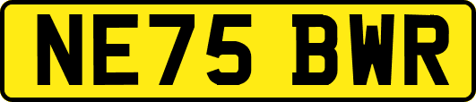 NE75BWR
