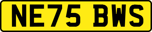 NE75BWS