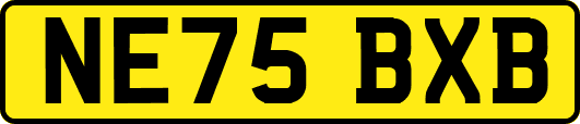 NE75BXB
