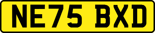 NE75BXD