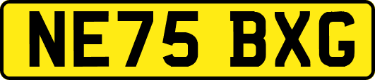 NE75BXG