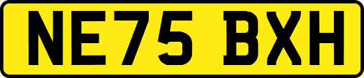 NE75BXH