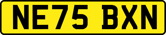 NE75BXN